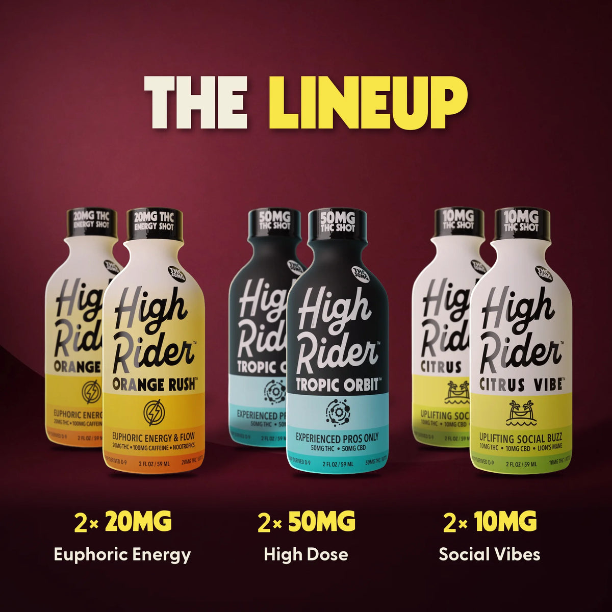 The Lineup Bundle
