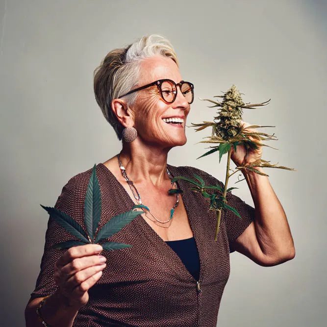 Smiling older woman holding cannabis flower and leaf