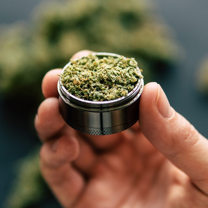 Close-up of cannabis flower in a grinder held by hand